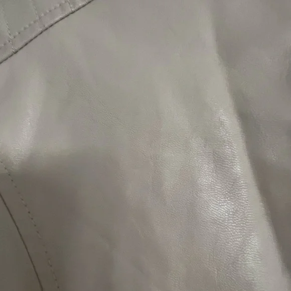 Wild Fable Blush Leather Jacket with Gold Accents - Picture 4 of 5